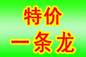 1630997750585665.png 1.png